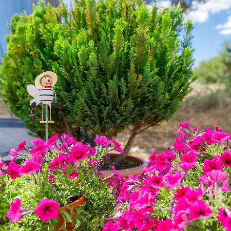 Laura By Interhome *